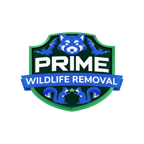 Wildlife Removal Fowler